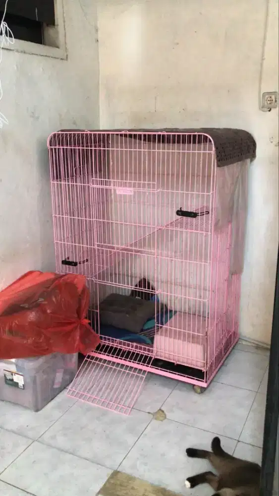 Kandang Kucing Besar