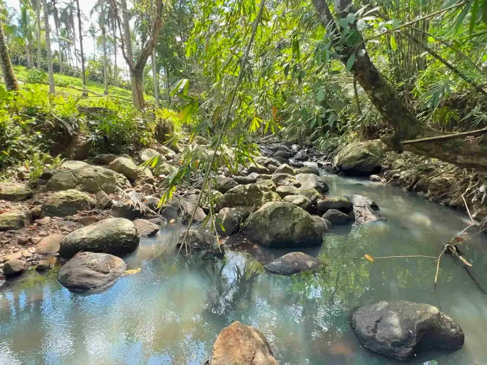 jual tanah Los sungai cantik di kawasan villa di desa manikyang tabanan bali.