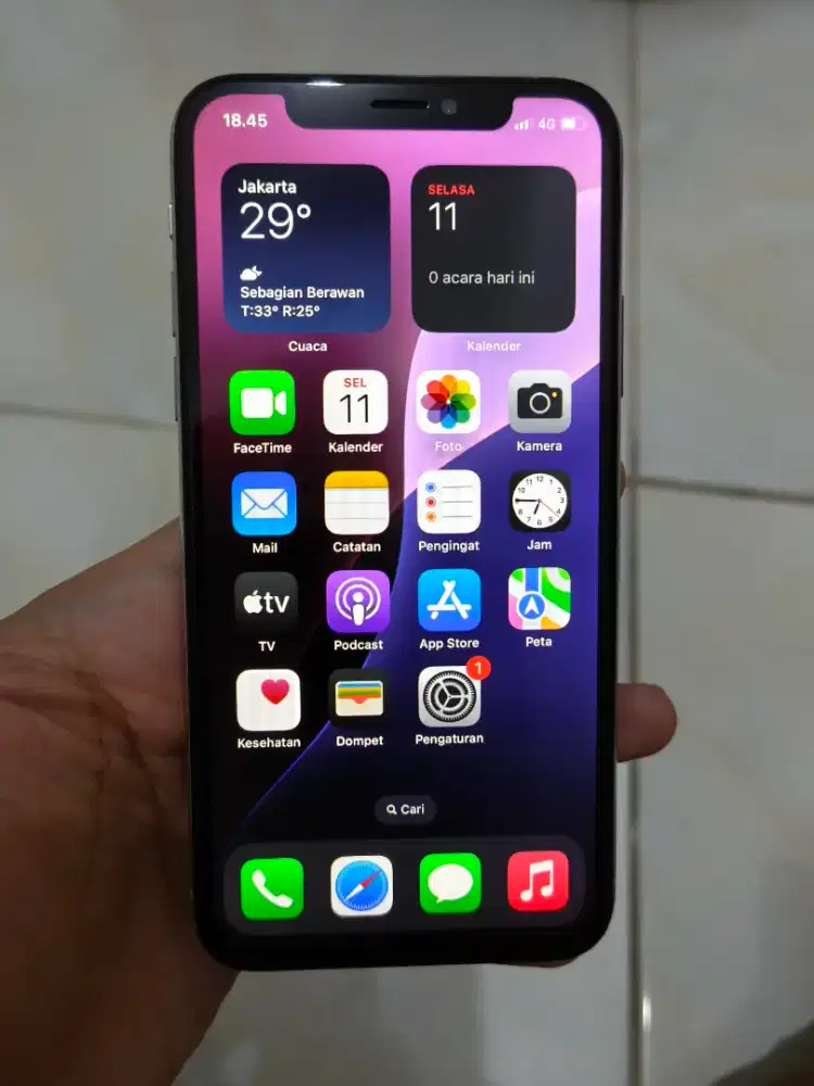 iPhone XS 256 all operator