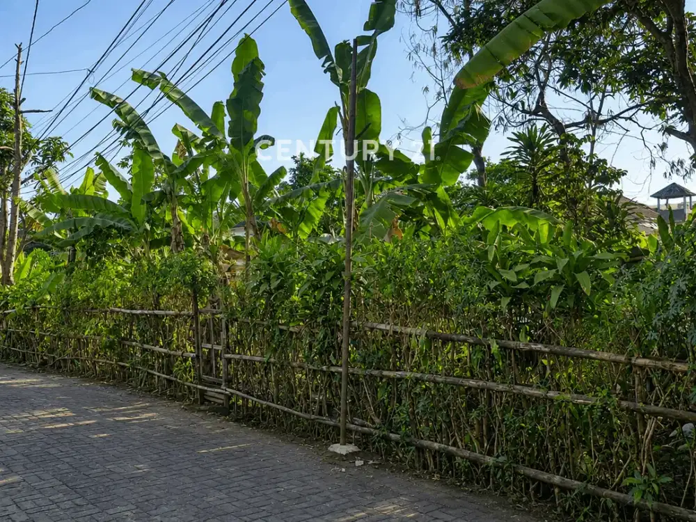 Tanah 250m2 Potensial Untuk Kost Di Area Palagan