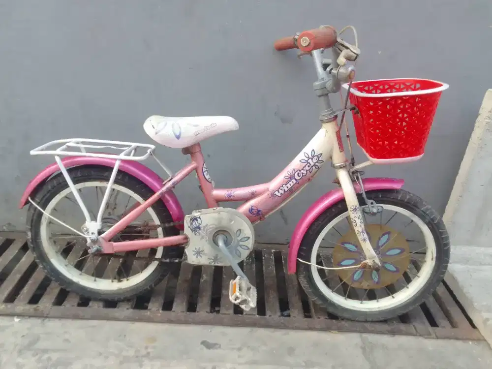Sepeda anak wimcycle normal