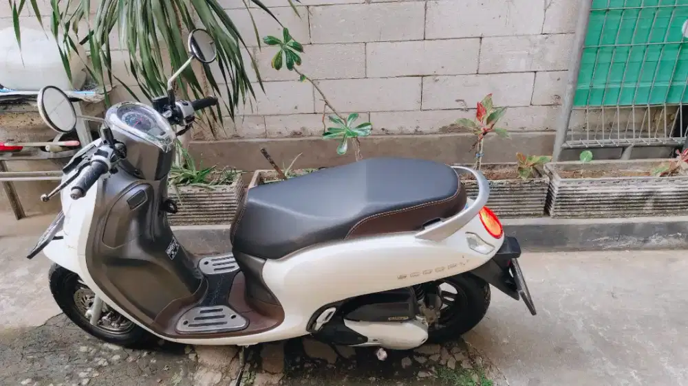 Scoopy Prestige keyless 2022