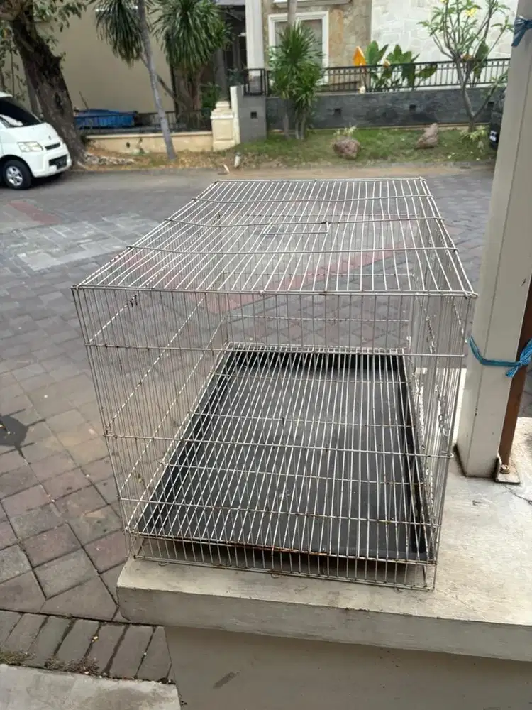kurungan ex kucing bekas