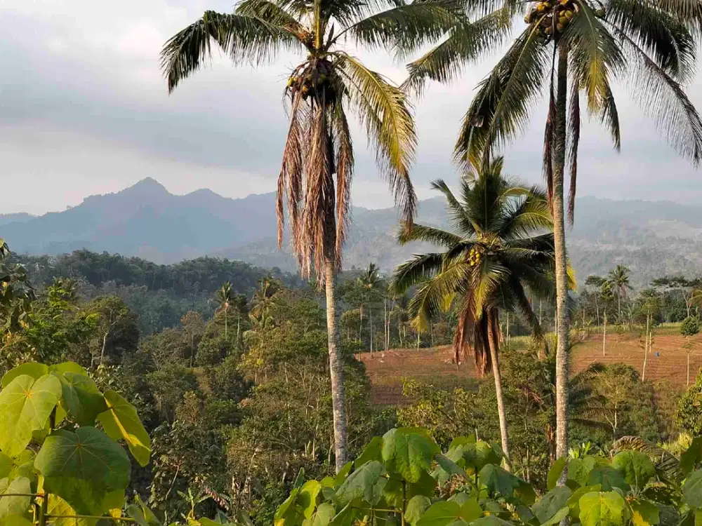 Tanah Poros Sukopuro Jabung Malang