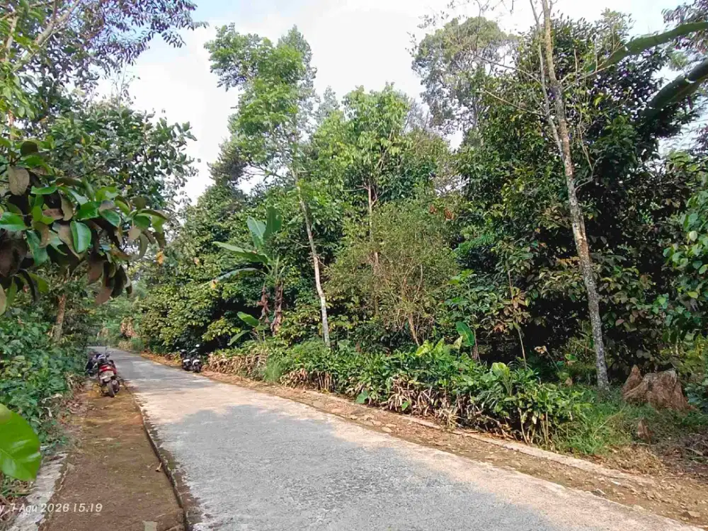 DIJUAL KEBUN MANGGIS & DURIAN SIAP MENGHASILKAN – KIARAPEDES, PURWAKARTA