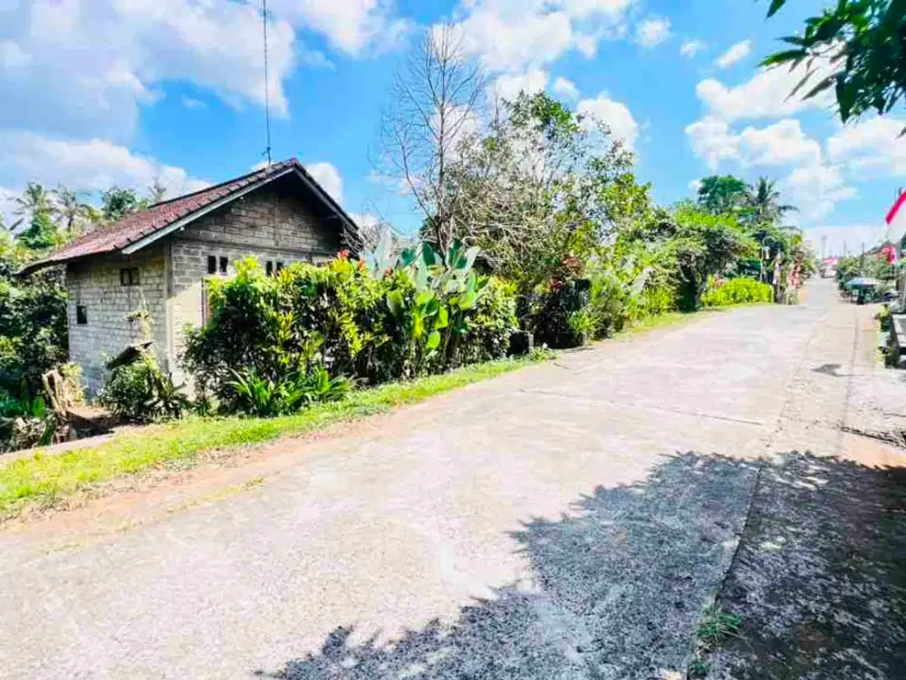 jual tanah dan rumah di desa wisata manikyang tabanan bali