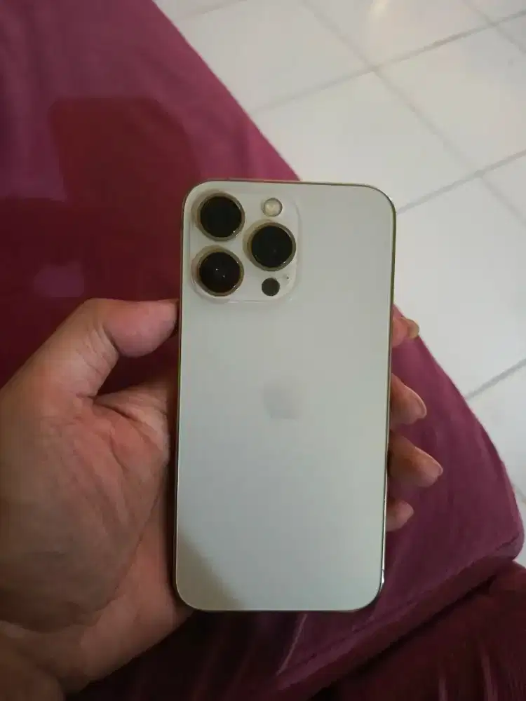 iPhone 13 Pro 128 GB