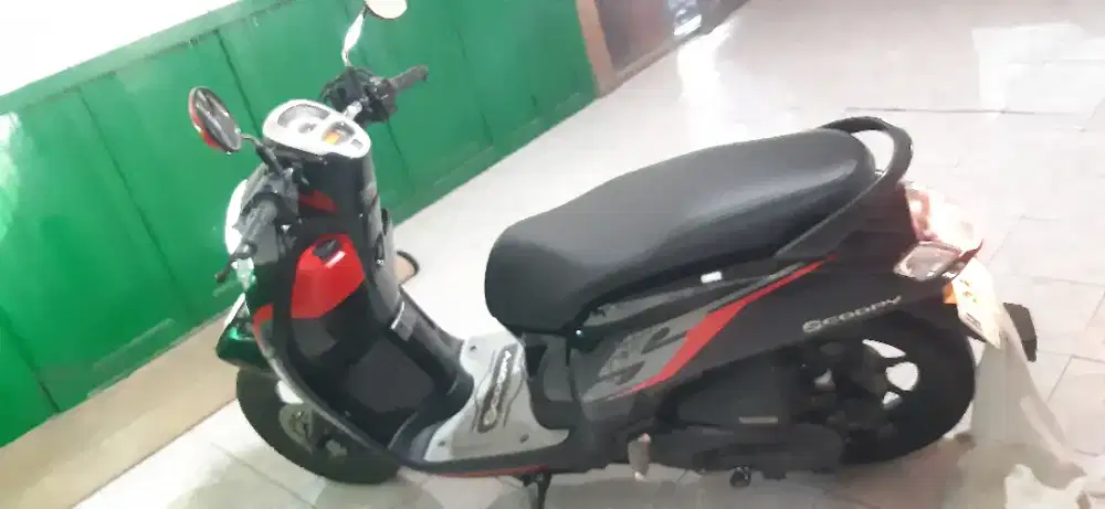 Motor scoopy 2019