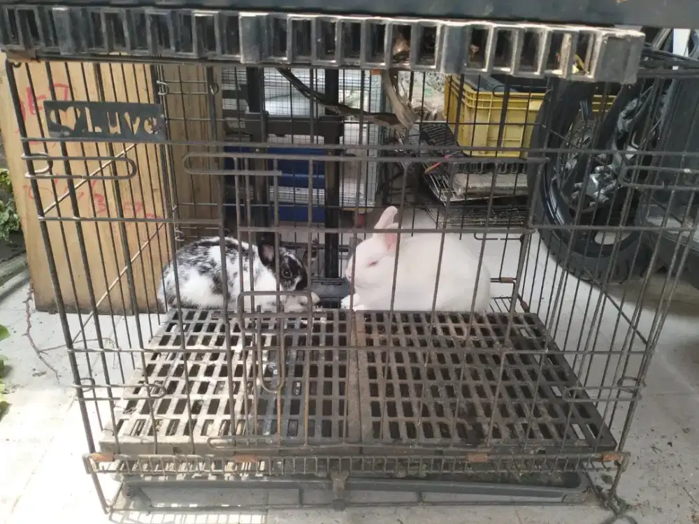 Kandang besi Anabul kuat
