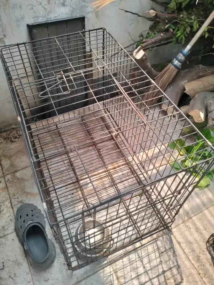 Kandang besi Anabul besar