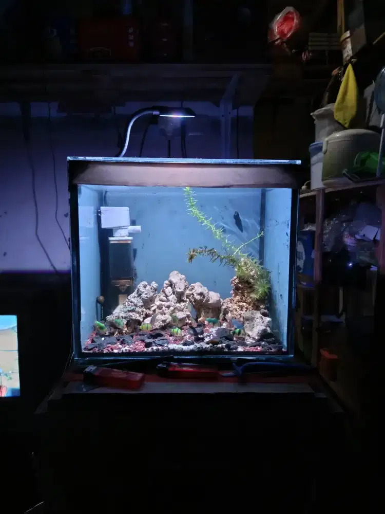 Aquarium Mini Fullset