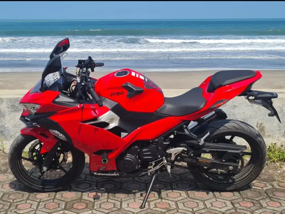 Kawasaki All New Ninja 250 FI Low KM
