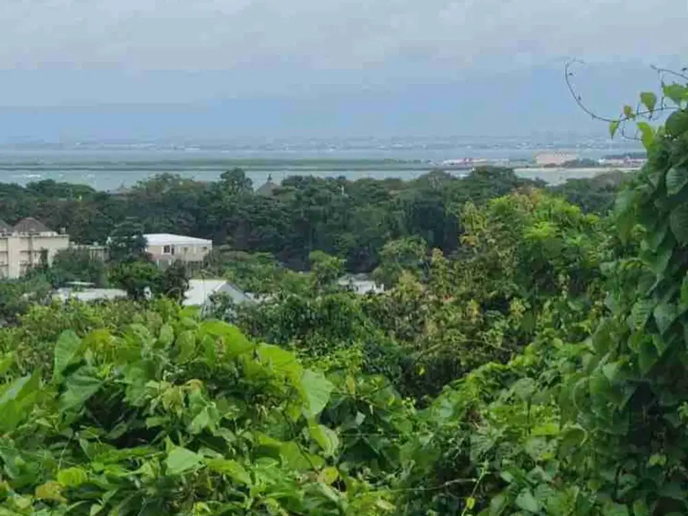 Tanah premium langka ocean view Cocok di bangun villa dan hunian lain nya