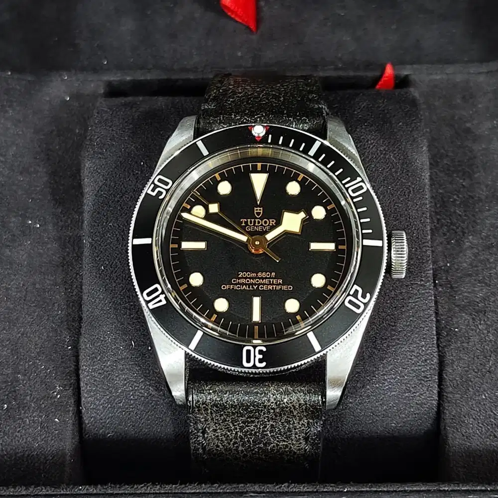 Tudor Black Bay 79230N Black Dial Inhouse movement