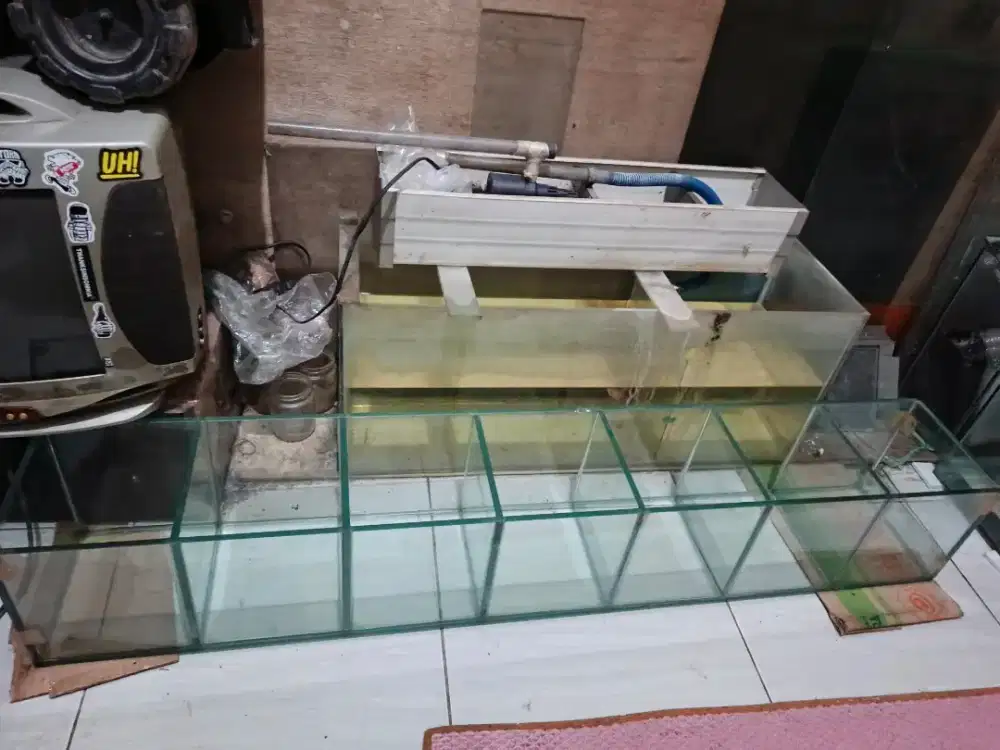 aquarium tebal 8m