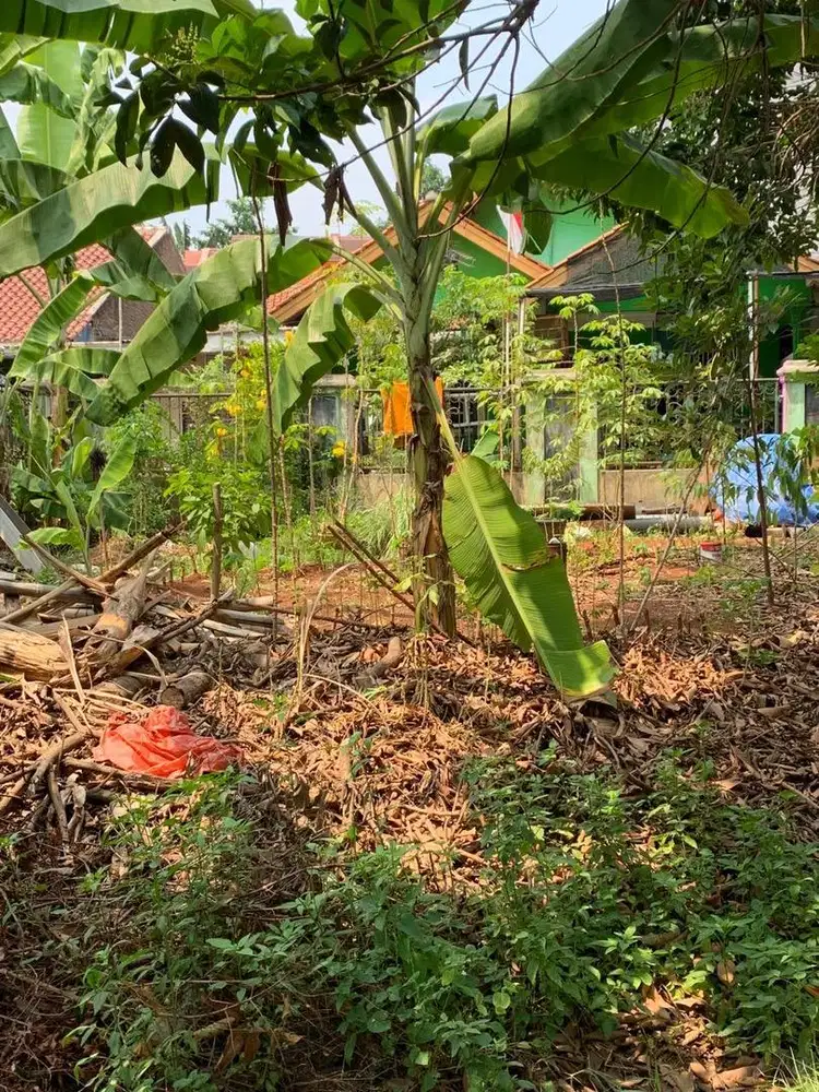 Di jual cepat BU 5,6jt/M tanah kosong