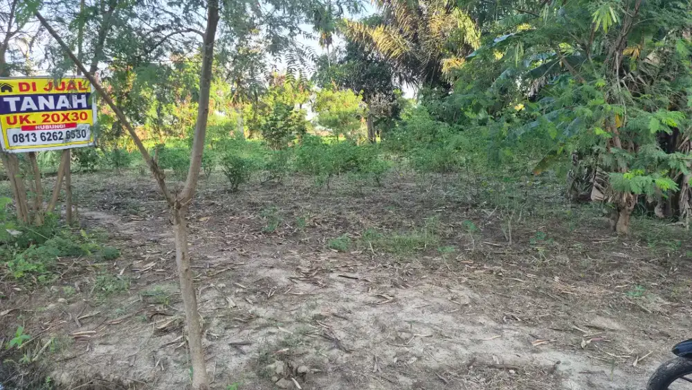 Tanah Darat Dijual Cepat