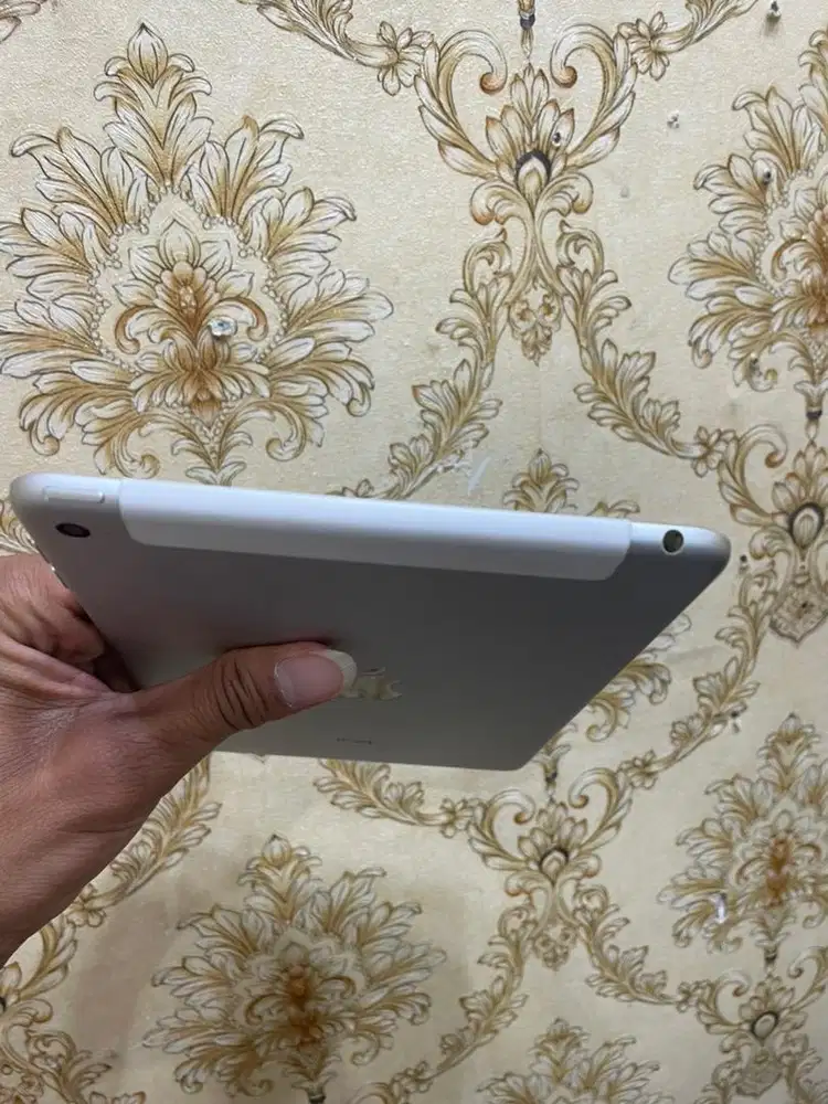 ipad mini 4  16gb celluler  mulus