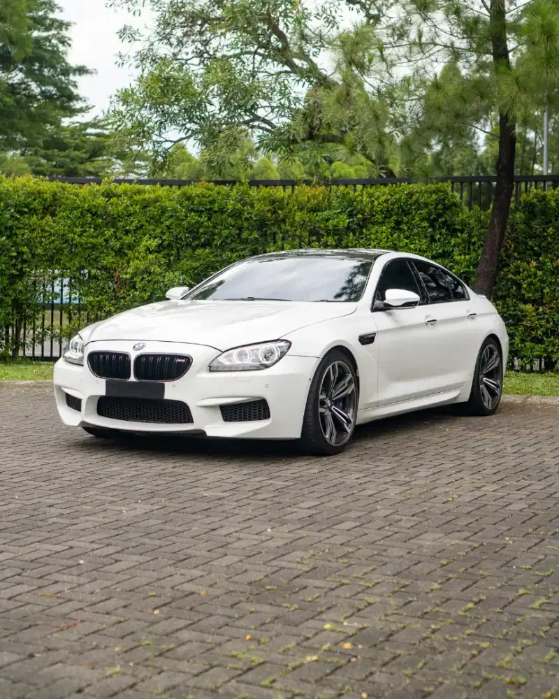 BMW M6 Gran Coupe  F06