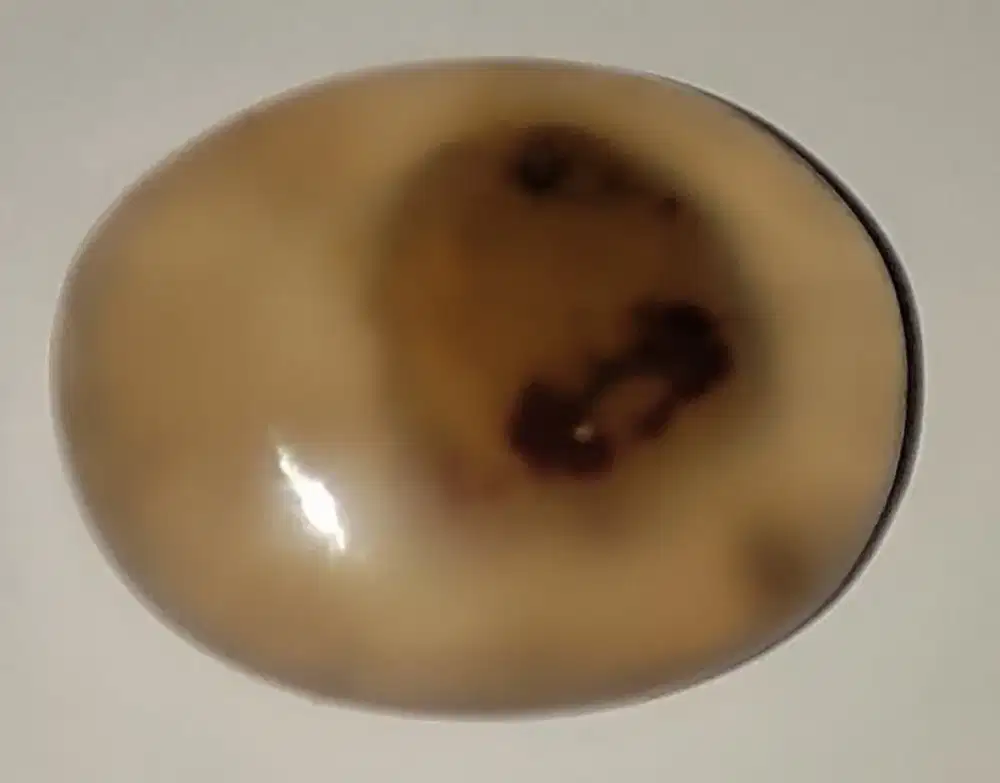 Batu Bercorak Khusus Alami Import