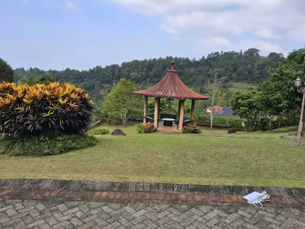 Ledug Tretes