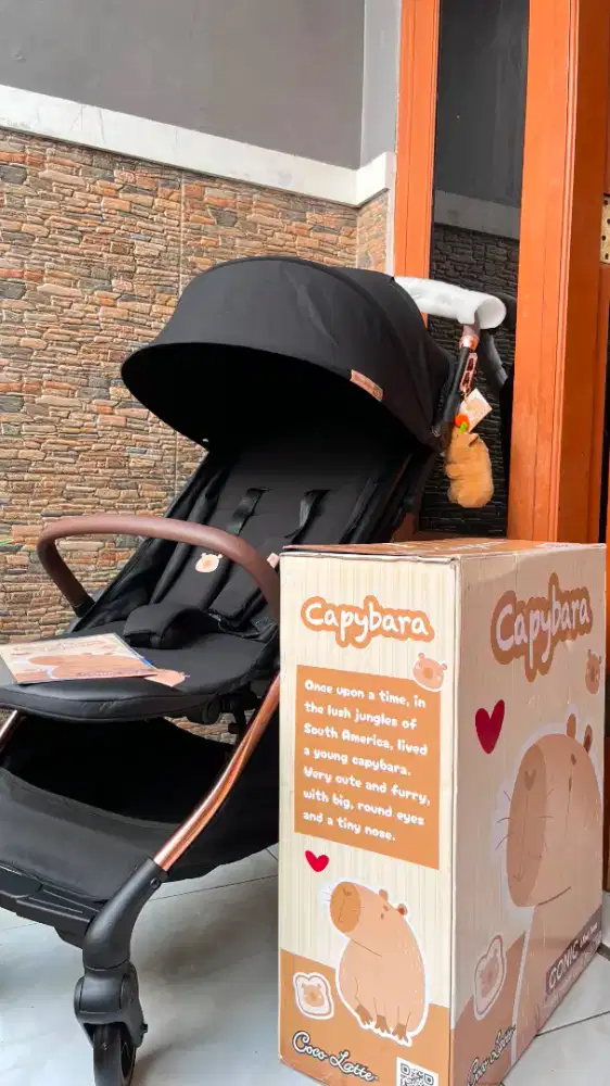 Stroller Conic Capybara auto fold