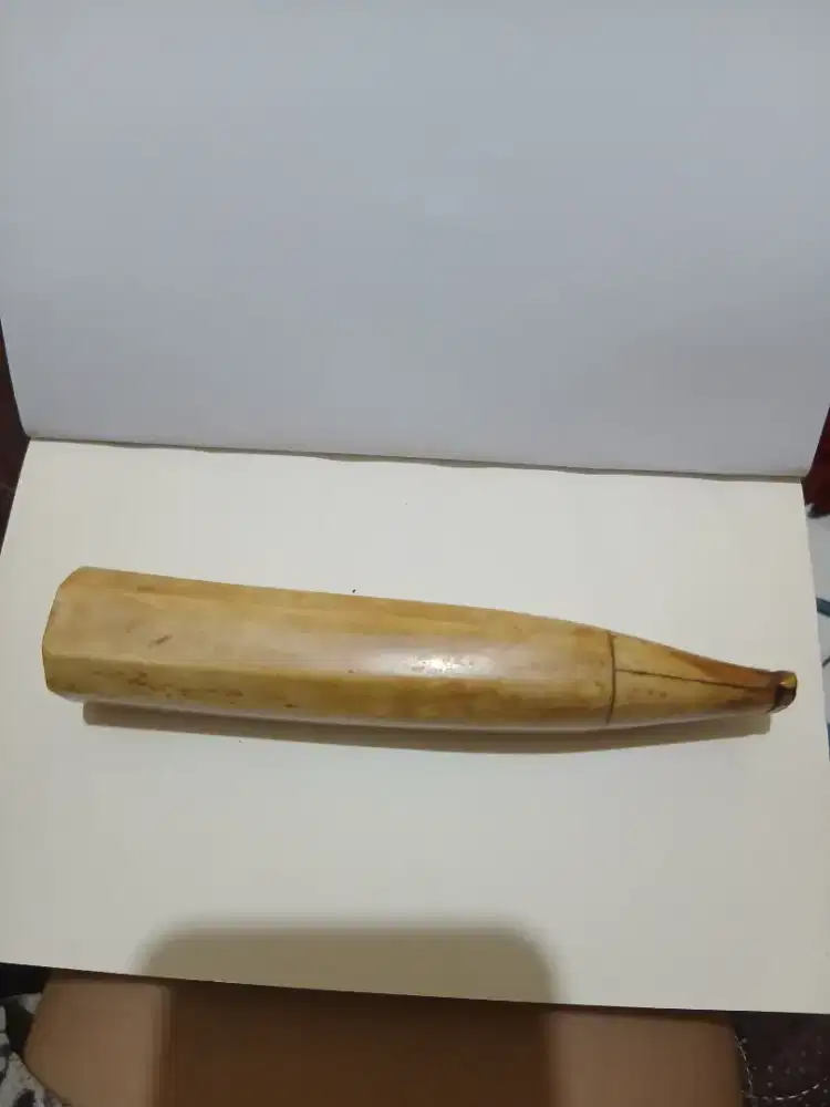 Pipa rokok tulang