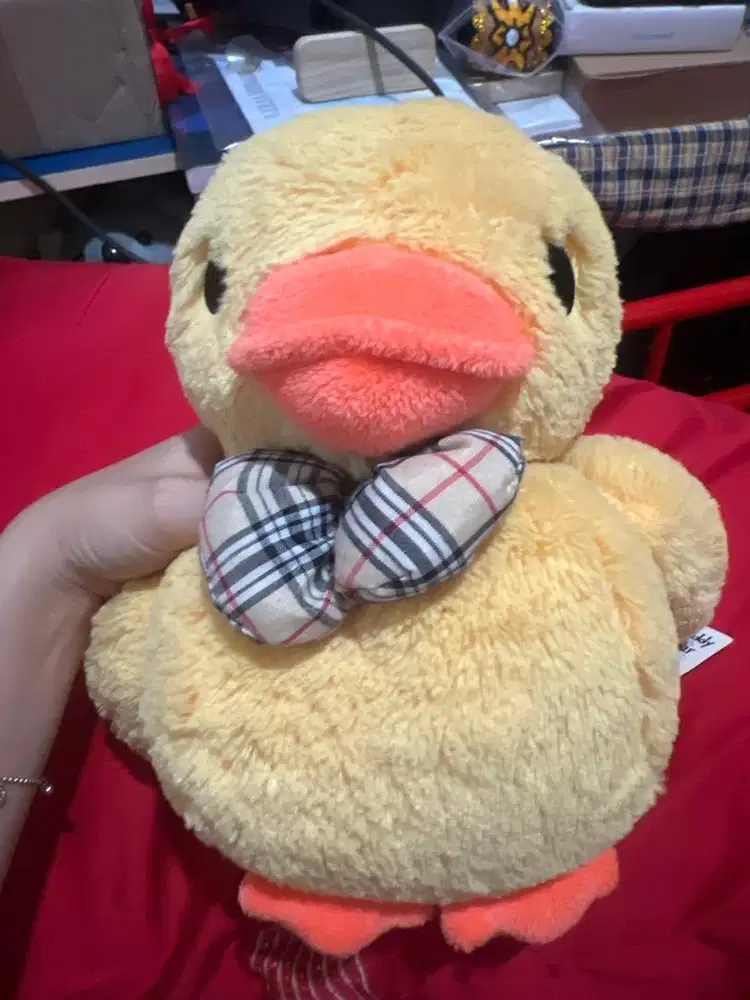 BONEKA BEBEK GEMAS