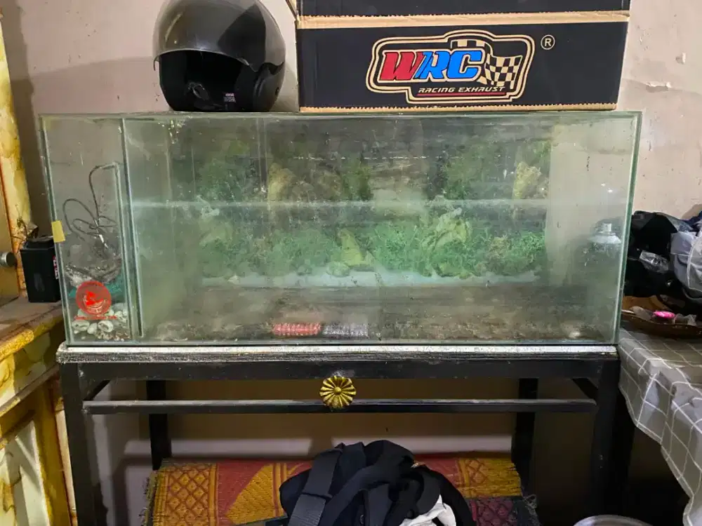 Aquarium dan meja