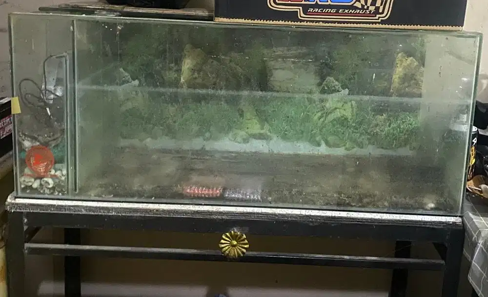 Aquarium & meja