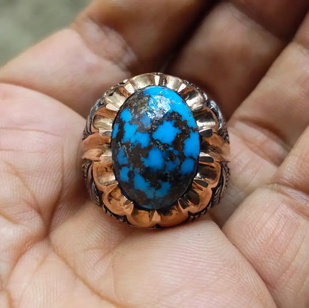 Top Pirus Persia Biru Mahak Siap pakai