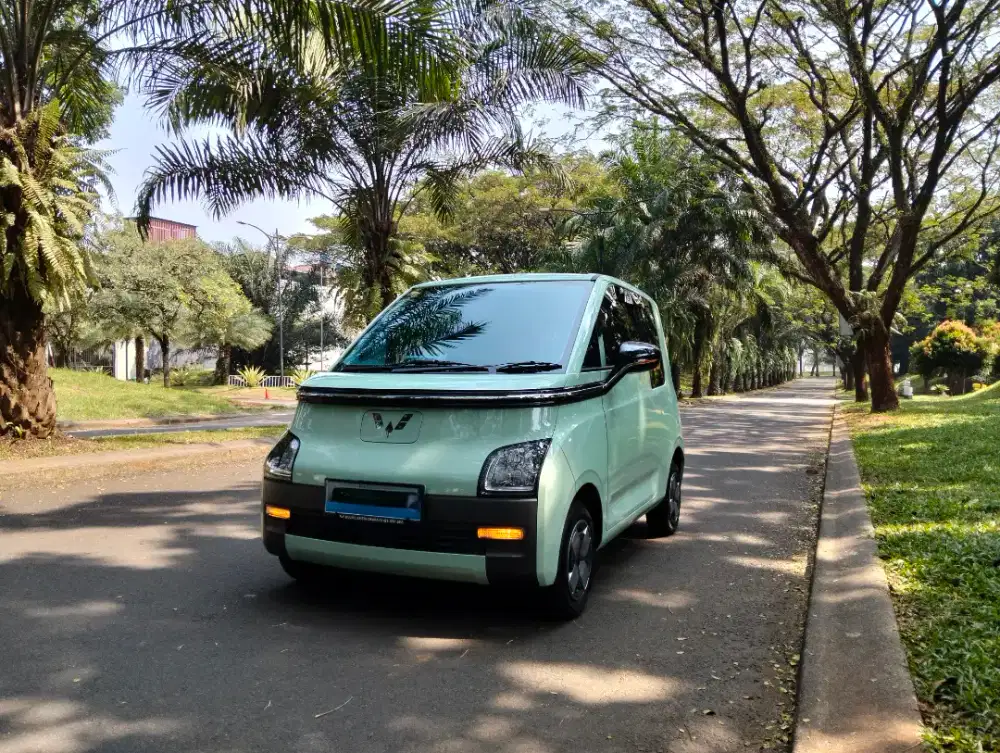 Air EV Lite Long 300 - KM 14rb