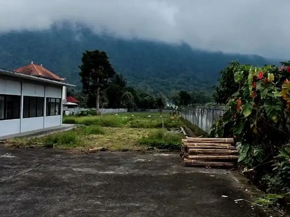 Scenic Freehold Land In Bedugul, Bali (Perfect For Villa)