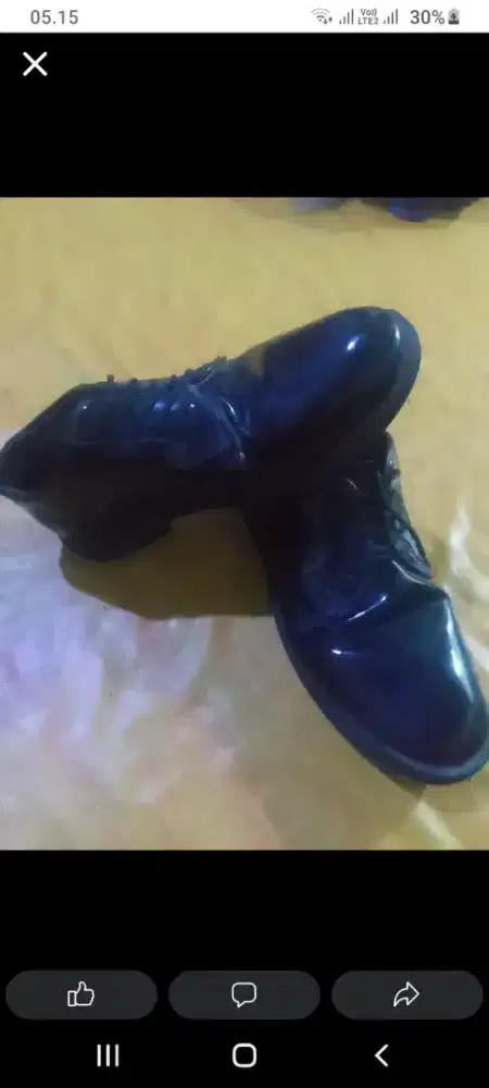 Sepatu kulit asli
