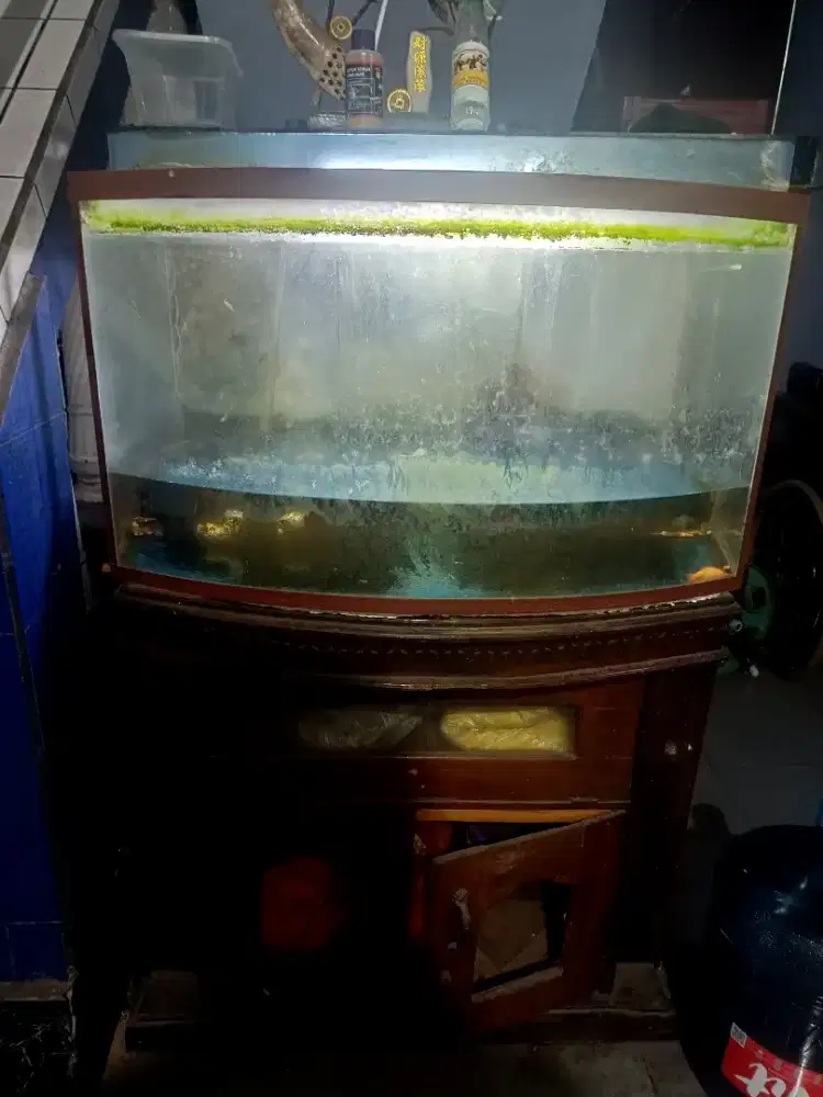 Aquarium berikut lemarinya di Setiadarma 1 Tambun, Bekasi