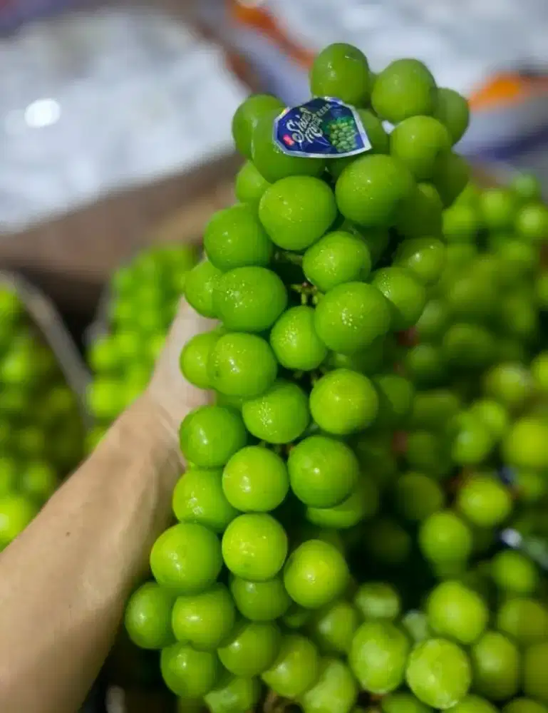 Anggur hijau Muscat