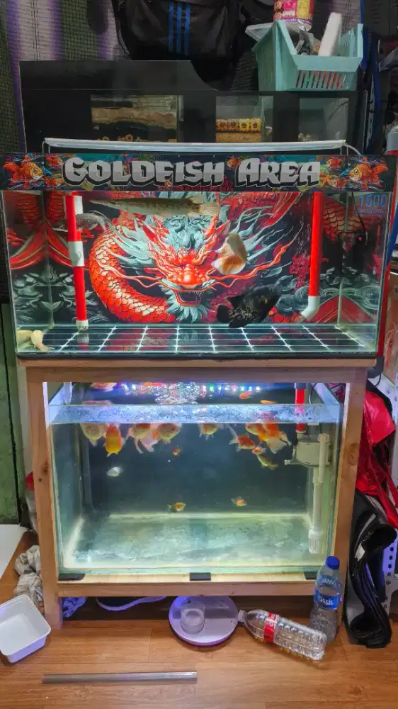 Aquarium chaina style