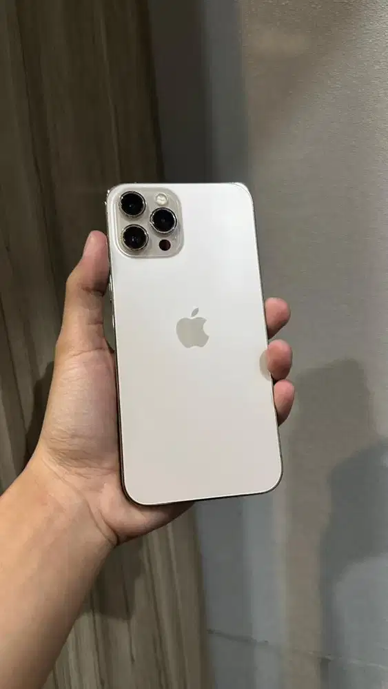 iphone 12 promax 256 beacukai