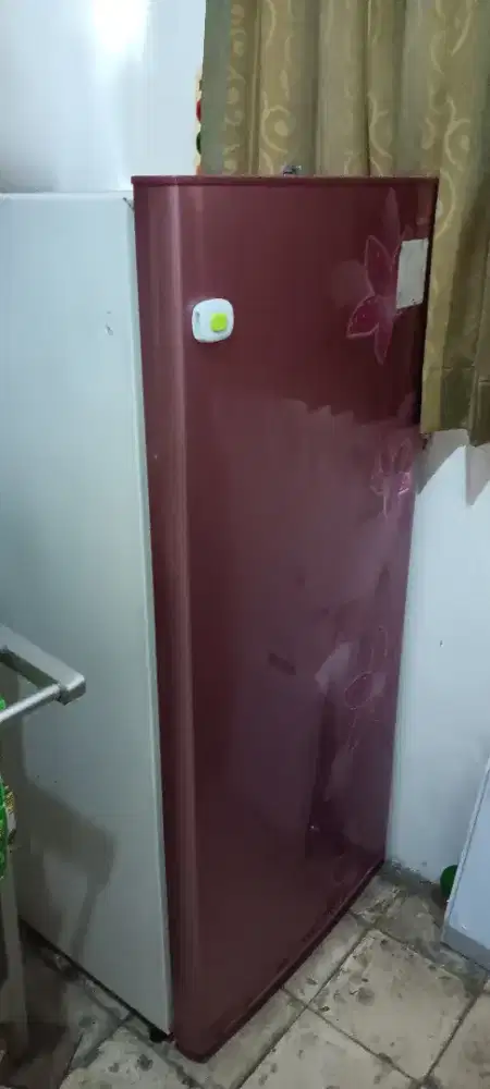 Kulkas sharp 1 pintu