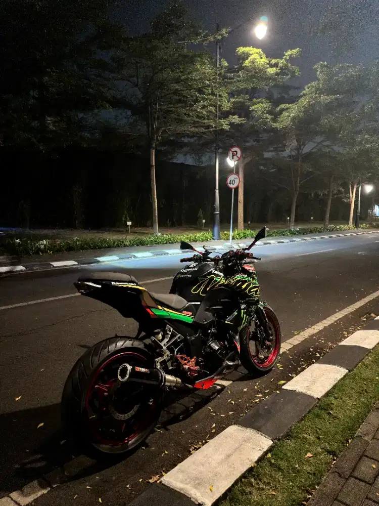 Z250 SPEK TOURING PLAT D