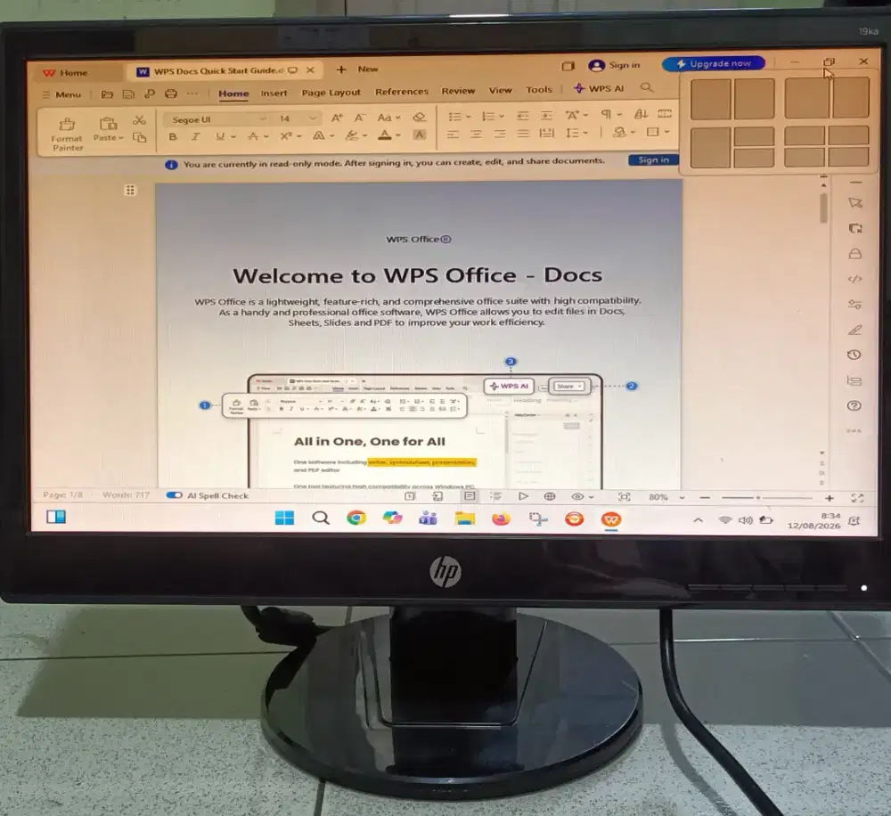 Monitor HP type 19ka