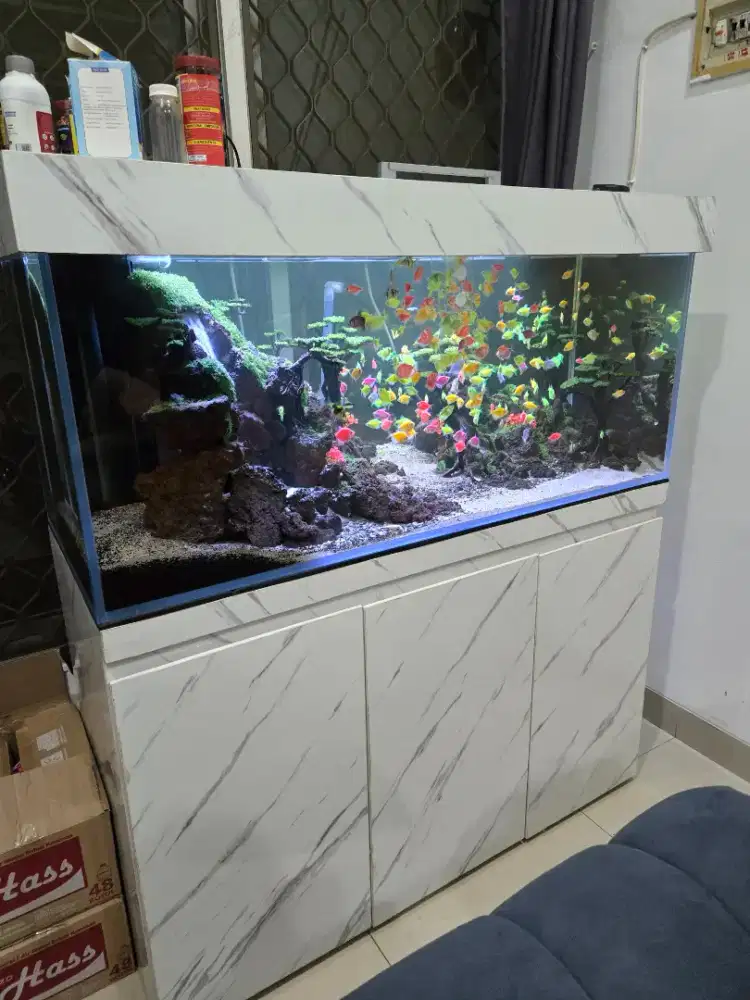 Jual Fullset Akuarium Optic Clear 120x50x50 Aquascape