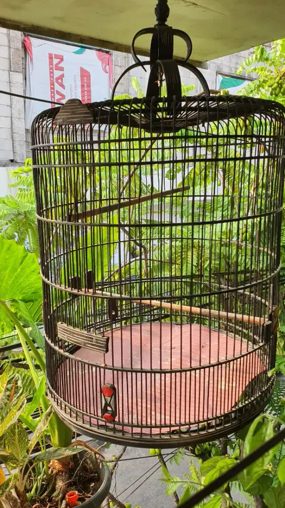 Kandang burung murai