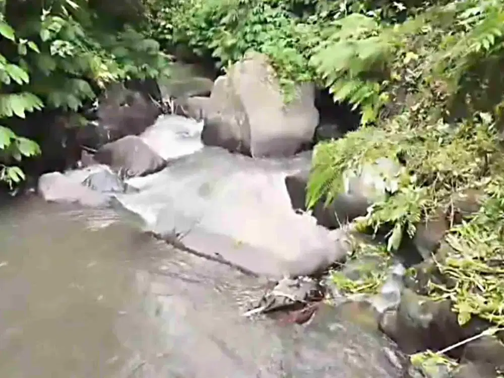 Tanah Riverside Buahan Ubud 500 mtr Hanging Garden hotel - Thumbnail 4