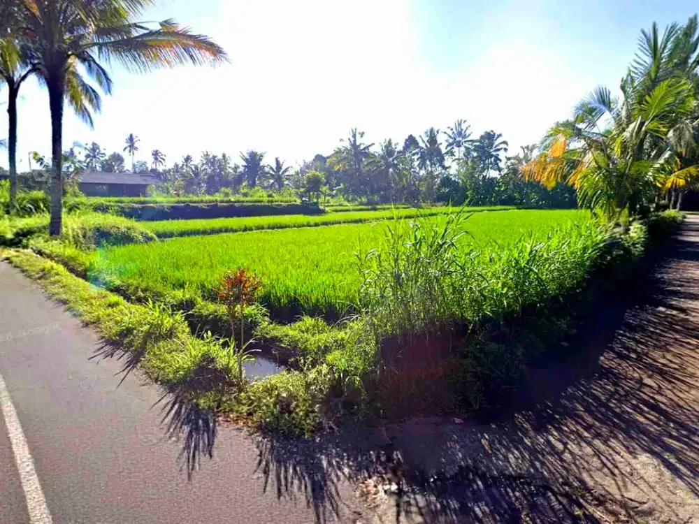 Tanah Riverside Buahan Ubud 500 mtr Hanging Garden hotel - Thumbnail 5