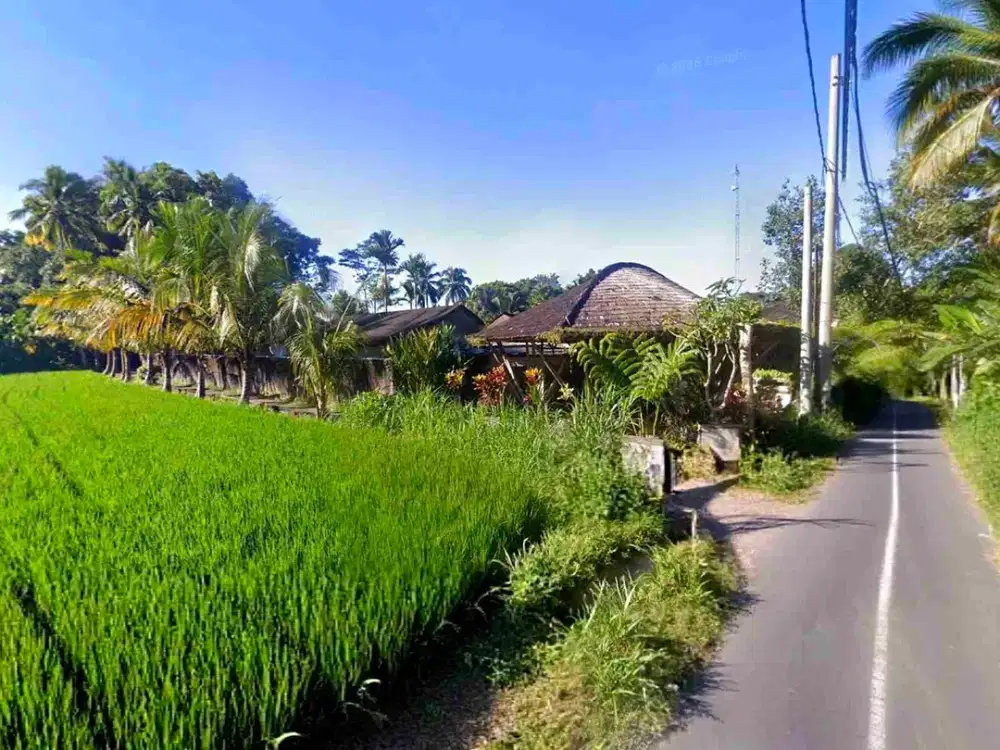 Tanah Riverside Buahan Ubud 500 mtr Hanging Garden hotel - Thumbnail 6