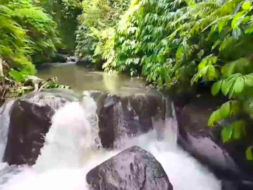 Tanah Riverside Buahan Ubud 500 mtr Hanging Garden hotel