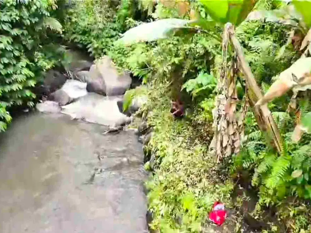 Tanah Riverside Buahan Ubud 500 mtr Hanging Garden hotel - Thumbnail 10