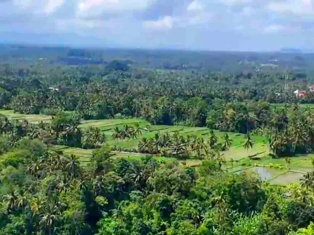 Tanah Riverside Buahan Ubud 500 mtr Hanging Garden hotel - Thumbnail 8