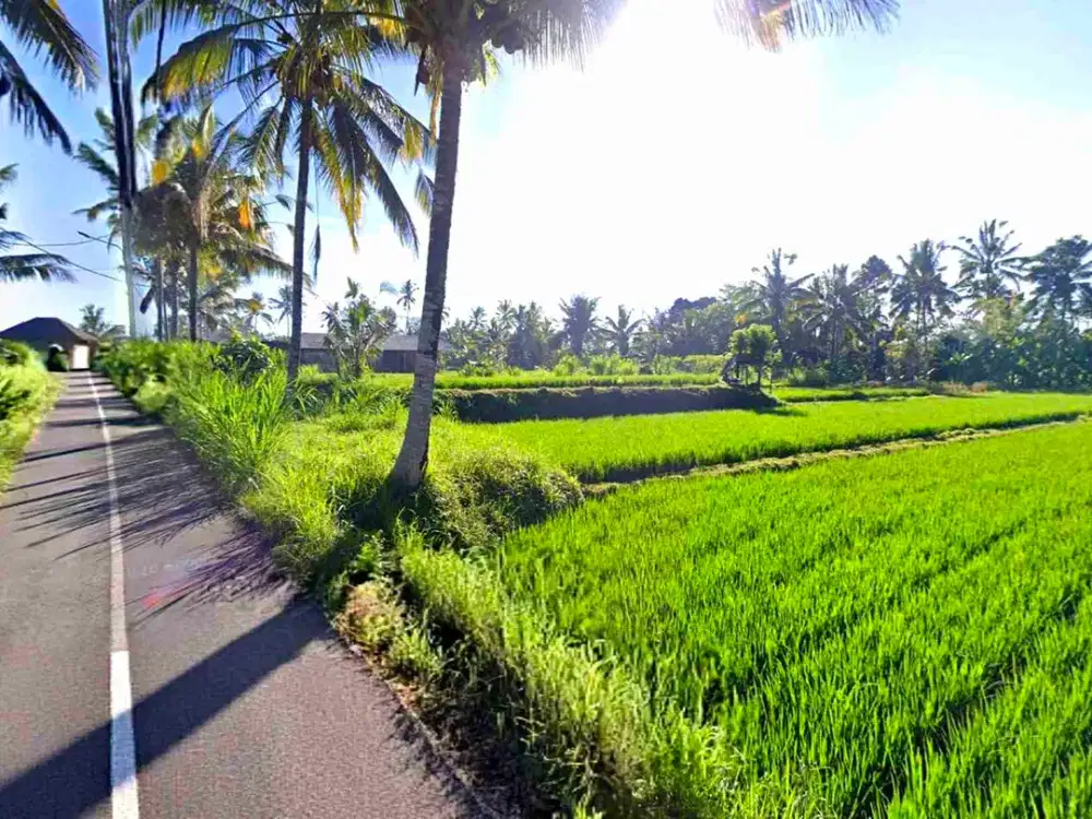 Tanah Riverside Buahan Ubud 500 mtr Hanging Garden hotel - Thumbnail 7